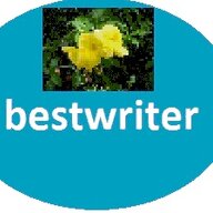 bestwriter