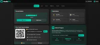 Account Dashboard - HustleBTC _ Manage Your Bitcoin Casino Account (1).webp