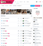 Cats Forum