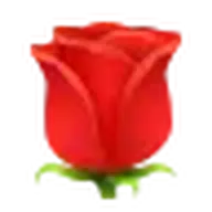 Valentine Rose